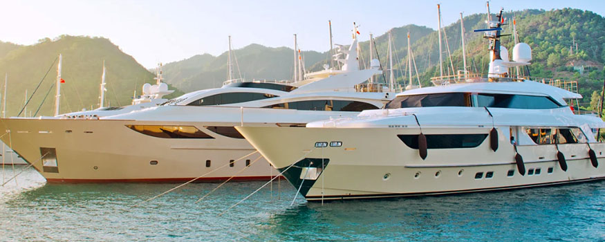 boat-banner boat-banner