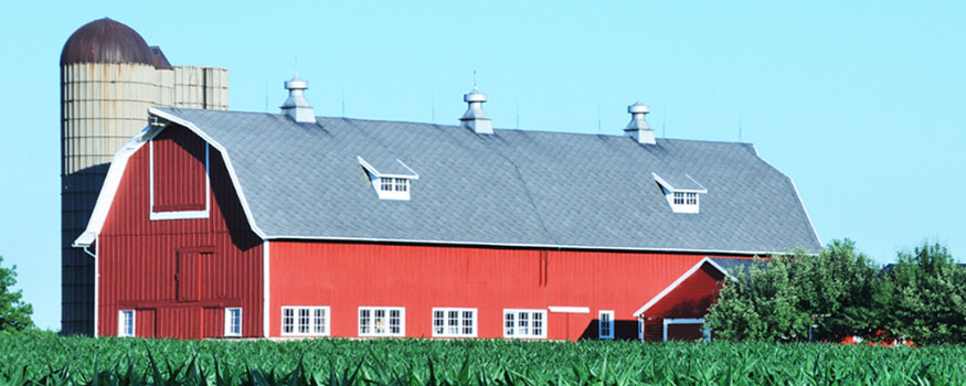 ranch-banner ranch-banner